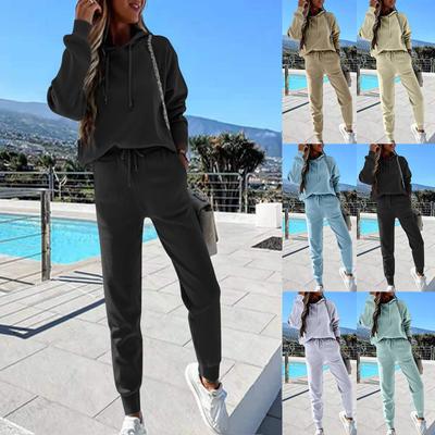 Women's Fleece Hoodies Two Piece Set 2021 Winter Sweatshirts Pants Sets Female Casual Sports Tracksuits