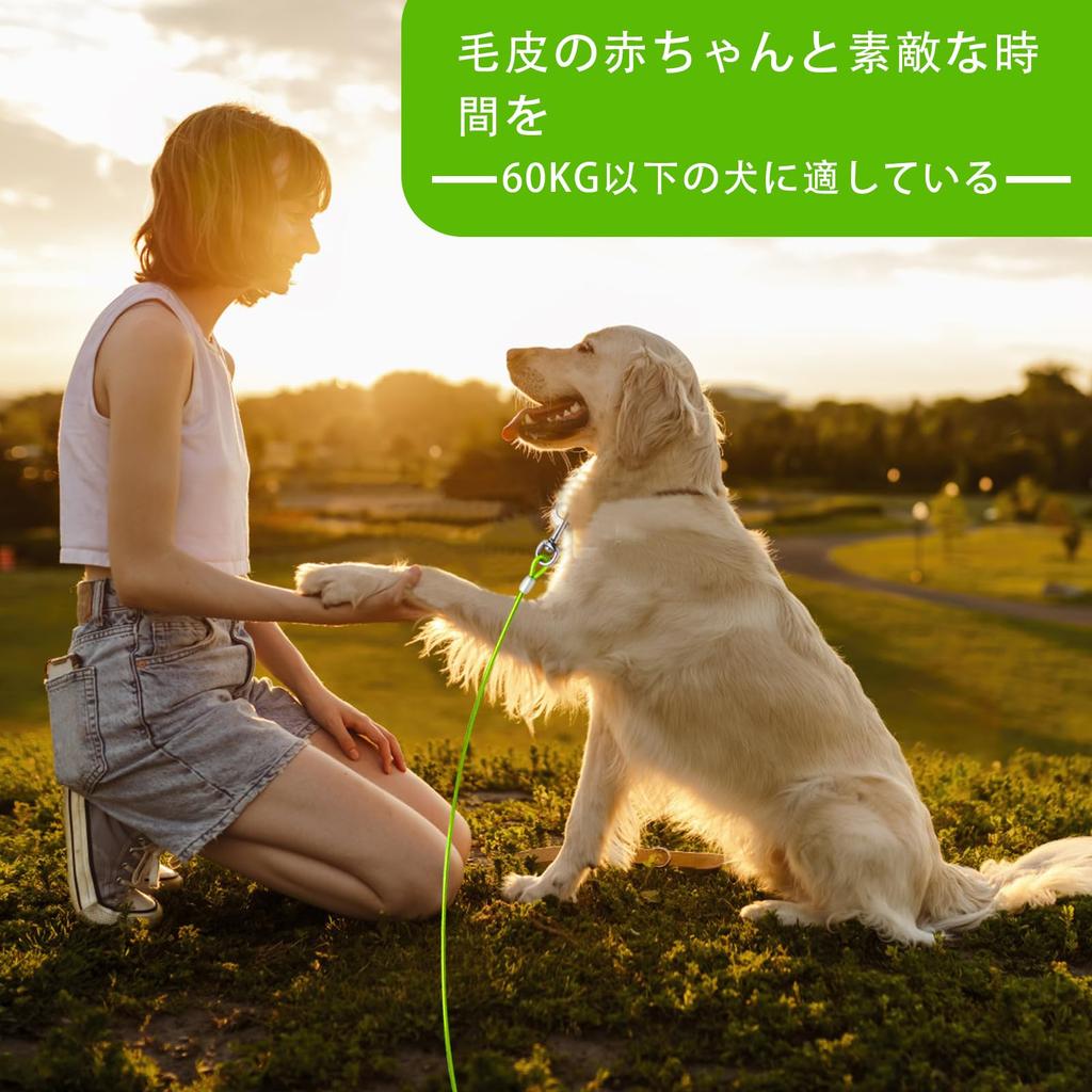 MiderHao Dog Anchor Dog Leash Mooring Cable Wire Lead 60KG Dog Cable Wire Rope Garden Lead 3/4.5/6/7.5/9M