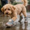 Dog Booties Breathable Waterproof Paw Covers Boots For Dogs For Winter Snow Rain Hot Pavement Running Small Breed Puppy Pet Foot