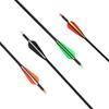 Mixed Carbon Fletched Arrows (10-Pack)