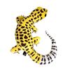 TST Advance Realistic Leopard Gecko YELLOW (Ages 6+) Approx. 23cm in length 11981