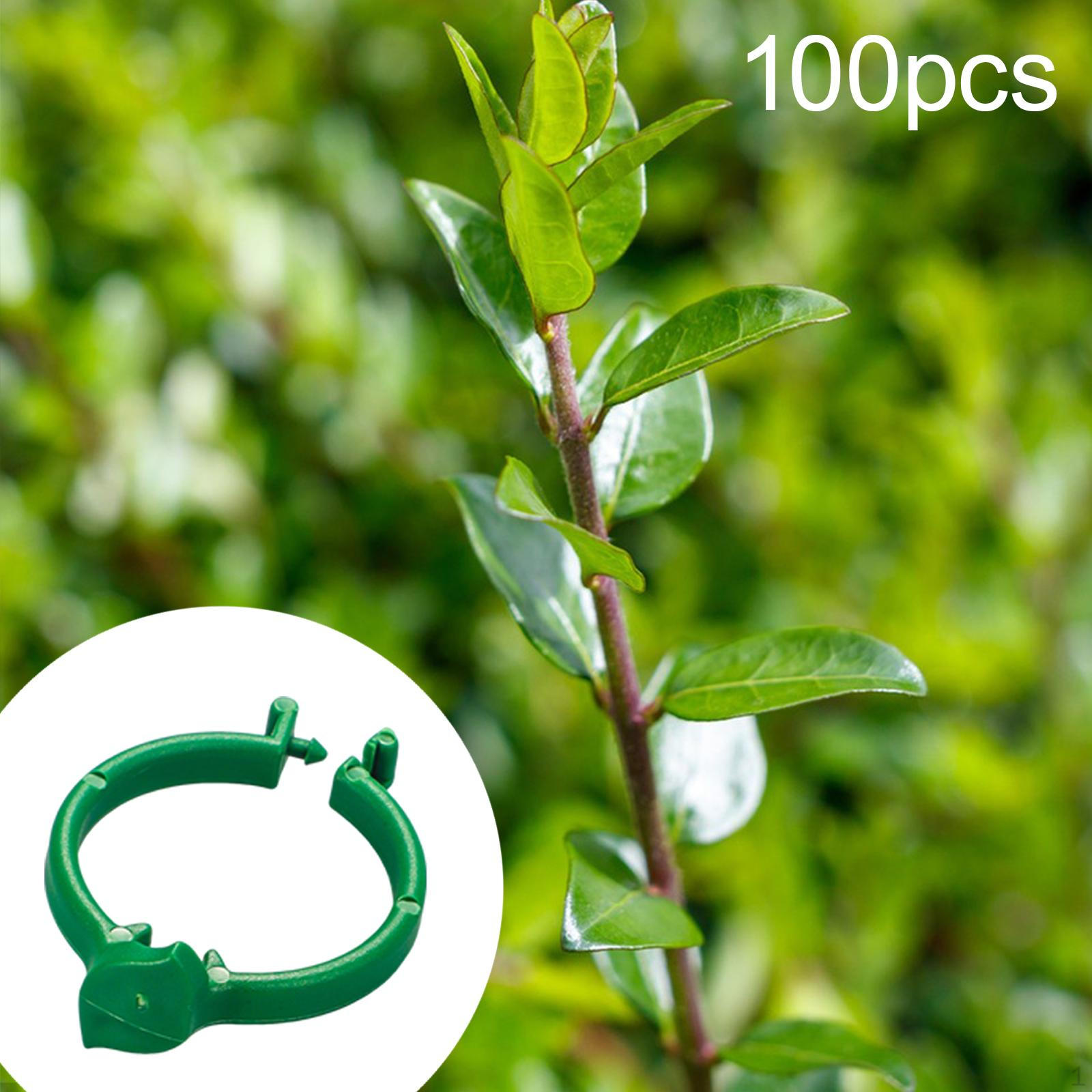 

100 штук Клипсы для фиксации лозы в теплице Диаметр 4 см Универсальные Зеленые для овощей Аксессуар