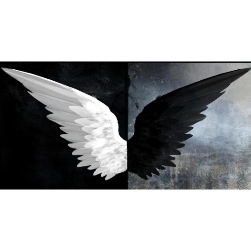 

Черно-белые крылья ангела, холст, картина, куадрос, принт плаката, настенное искусство для гостиной, домашний декор (Без рамки) 60x180cm(No Frame) белый дыма