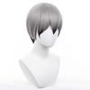 Short Anime Character Cosplay Perfect for Comic Market Cultural School and Other Includes Wig Gray/Black Wig, Accessory, Heat-Resistant Wig, Events,