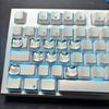 20pcs Glass Like Clear Cats Face Keyboard Top Quick Installation & Reusable Caps Protect Manicures While Typing
