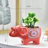 Creative Ceramic Elephant Succulent Planter with Drainage Hole Cute Mini Flower Pot Indoor Outdoor Desktop Garden Decor Ornament
