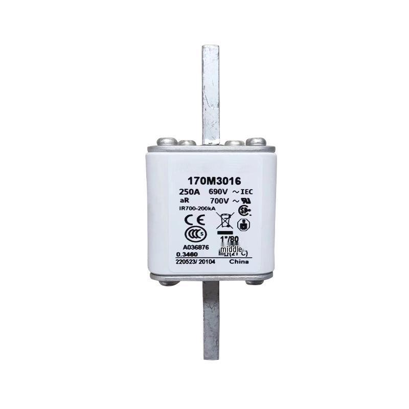 Brand New 170M3016 Fast-Acting Fuse - Original Electronic Component with Ample Stock Quantity.