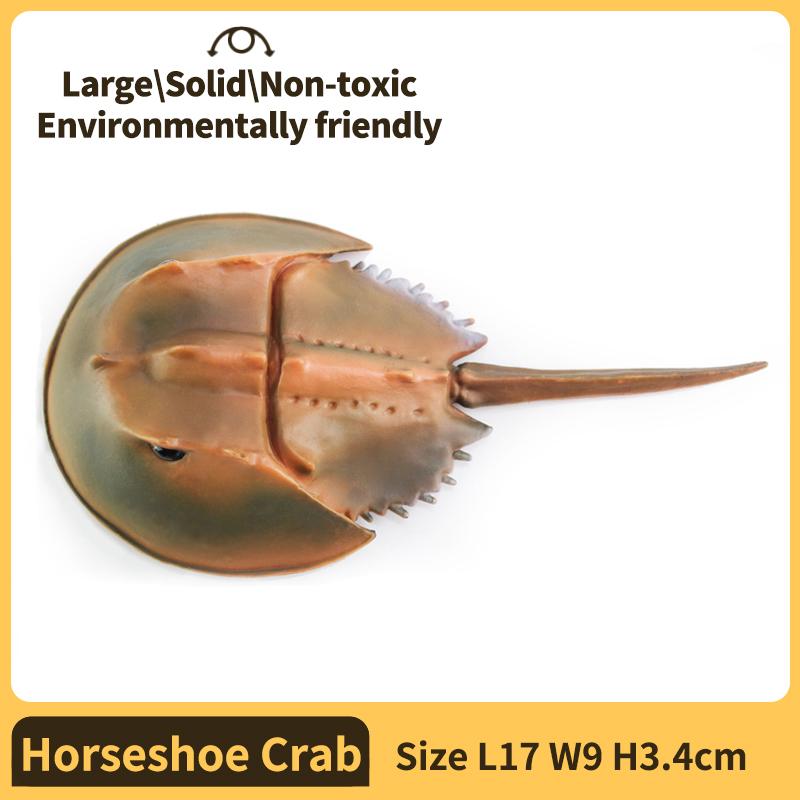 Sea animals Horseshoe Crab Figurine - Plastic Model Anime figures - Fun Educational Play Toy for Boys, Girls & Kids Ages 3+