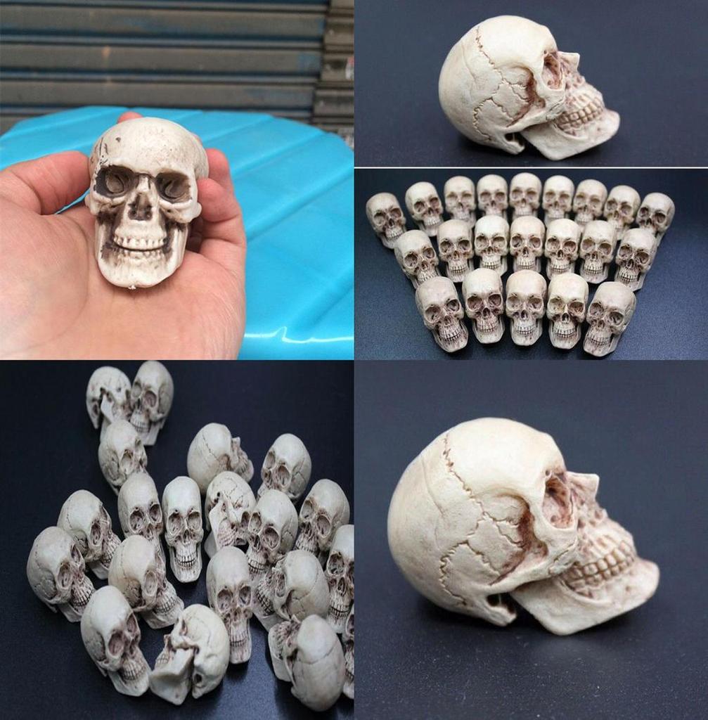 Mini Artificial Skull For Anatomical Scenes Perfect For Home Decor And Gifts