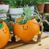 Creative Multifunctional Orange Swing Planter Pot With Swing Feature Suitable for Kids Entertainment and Home Gardening