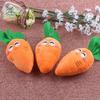 New Funny Carrots Puppy Dog Vegetable Dog Chew Squeaker Squeaky Pet Supplies