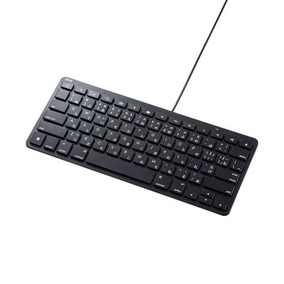 Sanwa Supply iPad Keyboard with Lightning Connection, Black, SKB-IP3BK