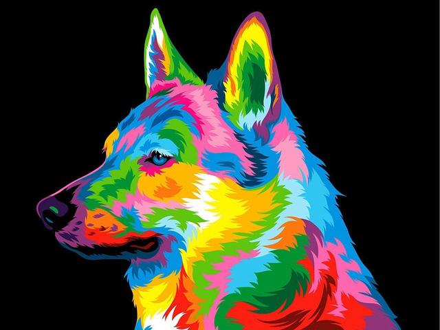 Full Square Diamond Embroidery Cat Dog Animal Wolf Diamond Mosaic Lion Needlework Painting Kits DIY Handmade Hobby