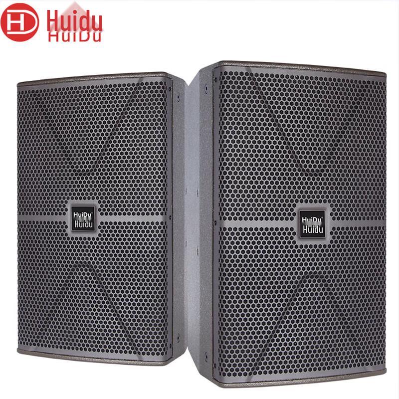 

Huidu Professional 10-inch Full-Range Speaker