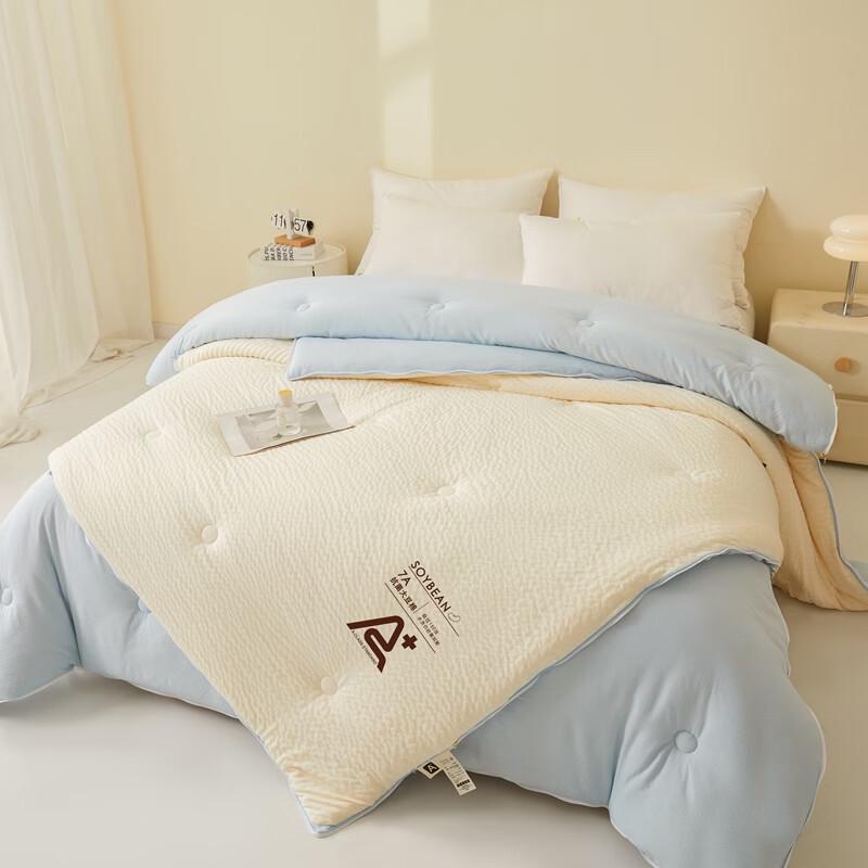Pugu Soy Fiber All-Season Duo Comforter Set