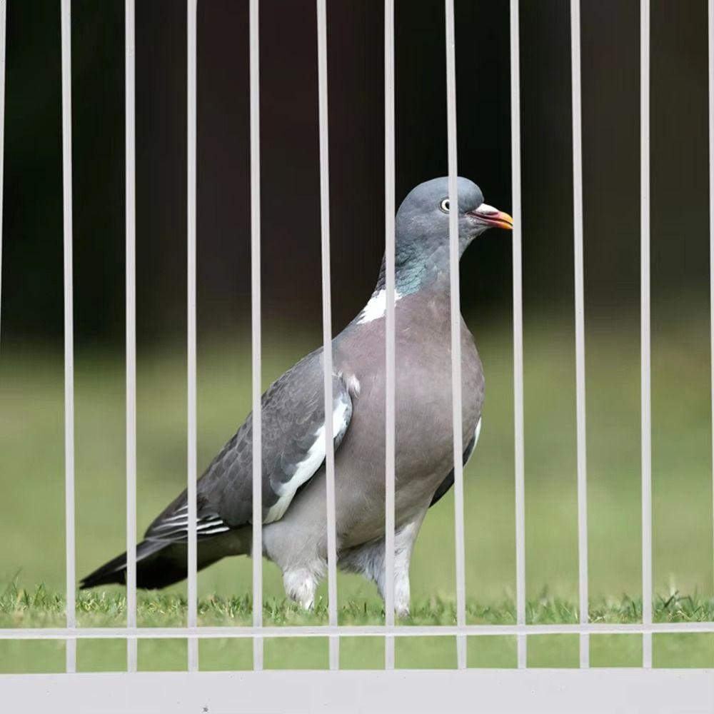 Jednodílná vchodová dvířka pro holubí klec 30/40 cm Vchod do ptačí klece Past na holuby Dvířka Ptačí klece a hnízda