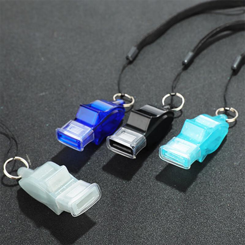 Outdoor Dolphin Whistle