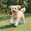 Breathable Dog Mesh Shoes Rubber Sole Dog Paw Protectors Fashion Dog Sneakers  Outdoor Walking