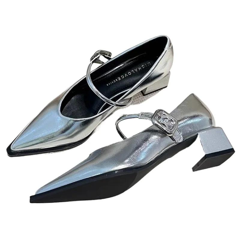 Wiosenny styl 2024 Szpiczasty nosek Wszechstronny styl Pojedyncze buty Kwadratowy obcas Damskie buty Średni Profesjonalna sukienka Francuskie wysokie obcasy