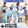 ROBOT PLAZA Humanoid Robot Toy, Walks, Speaks English, Kids' Toy, Boys' Birthday Gift, Educational Toy, Rechargeable, Japanese Instruction Manual