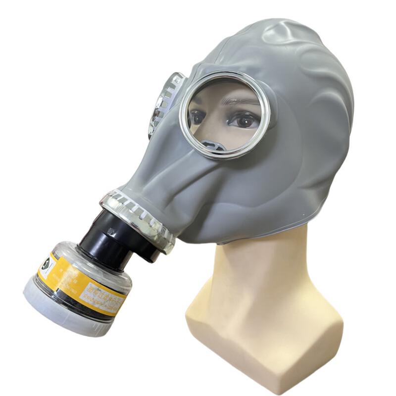 DAXTE Multi-Purpose Full-Face Respirator Mask