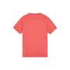 Stone Island Ss23 Geometric Pattern Printed Crew Neck Short Sleeve T-Shirt Men T-Shirt Red 781524693-V0087