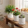 3D Printing Succulent Plant Container Cylinder Shape Decorative Planter Flower Pot  Desktop Decor