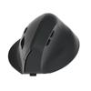 OLOEY Wireless Ergonomic Vertical Mouse