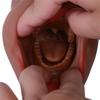 3in1 Realistic 3D Vagina Anal Plug Mouse Male Masturbator Cup Adult Sex Doll for Men Airplane Cup