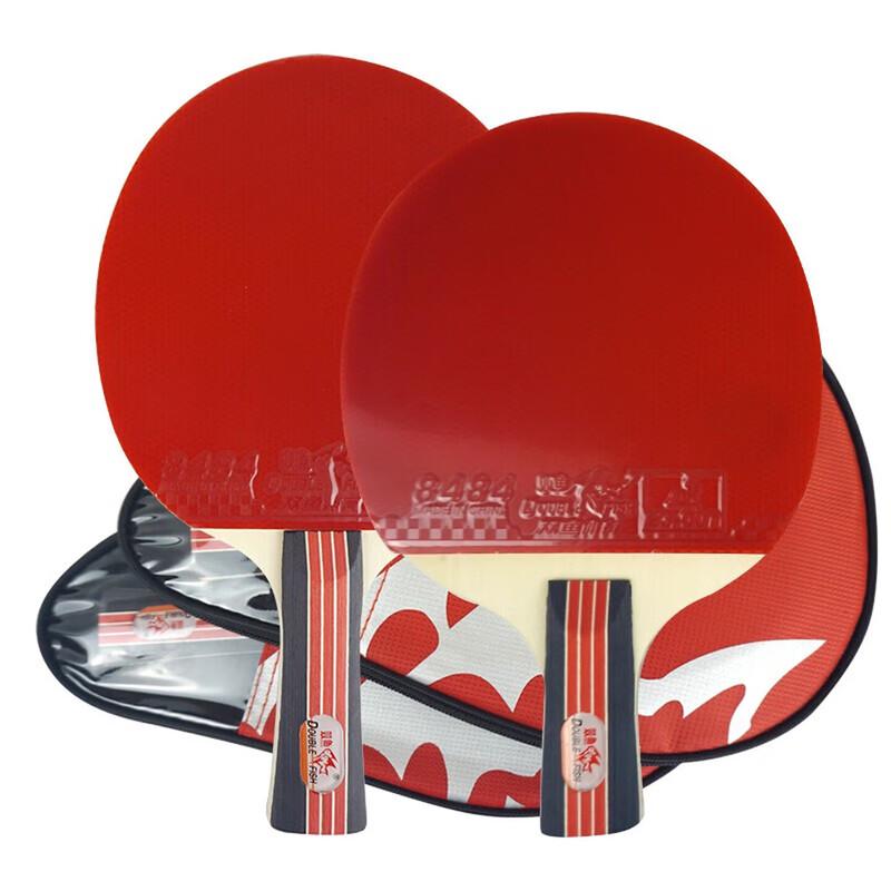 Double Fish 2-Star Beginner Penhold Table Tennis Racket