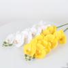 3D Printing Simulation Butterfly Orchid Flower 9 Heads Fake Moth Orchids  Hotel Restaurant