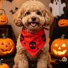 Polyester Pet Halloween Bandana Pumpkin Ghost Print Soft Skin-Friendly Cat Saliva Towel Spider Bat Pattern Fade Resistant