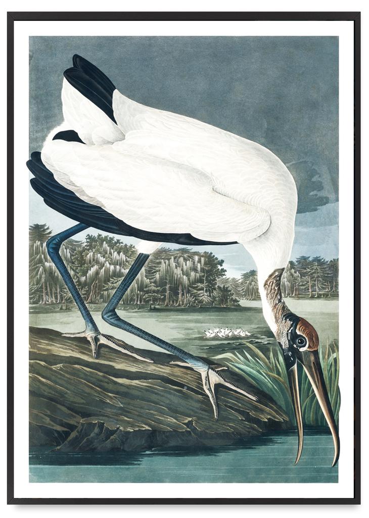 Poster Big Birds White Bird Old School