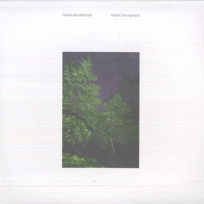LP Record DEVENDRA BANHART, NOAH GEORGESON - Refuge DOC262 Dead Oceans 2021 US Dance & Electronica