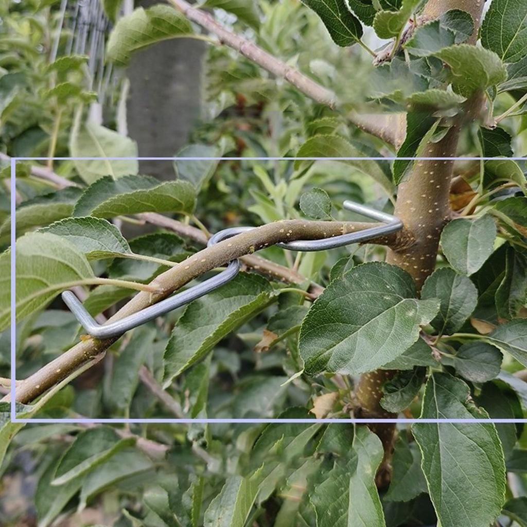 100Pcs Fruit Tree Branch Puller Tying Machine For Plum Trees Open Angle Tool Plant Shaping Tool with M Shape 4inch