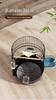 Luxury Large Round Metal Bird Cage for Parrots, Budgies, Cockatiels, and Mynahs – Complete Set