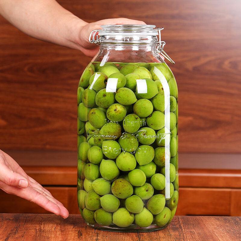 Andytai Thickened Glass Infusion Jar