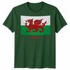 Wales Cymru Welsh Flag Unisex Tshirt Patriotic Welsh Pride Apparel