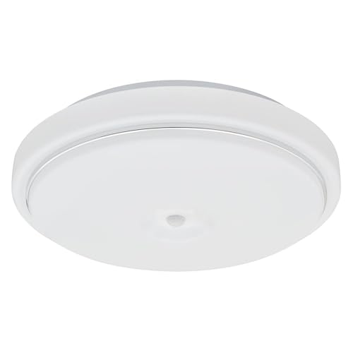 OHM LED Interior Entrance Light, Daylight | OHM Electric LT-Y18D-GB-PIR 06-5570