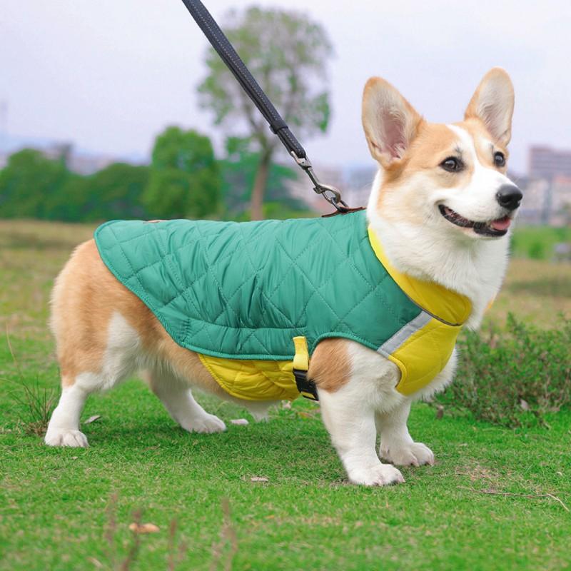 Thick Winter Dog Coat French Bulldog With Reflective Trim Warm Pet Outerwear In Multiple Colors