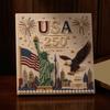 250th Anniversary Pearl Painting Kit, USA Anniversary DIY Pearl Art Set, Patriotic Bead Painting Craft Kit for Beginners Adults