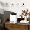 Pet Air Purifier for Home Remove Formaldehyde Allergies and Pets Hair Pet Odor Purifier Smoke in Bedroom Filter Air Cleaner