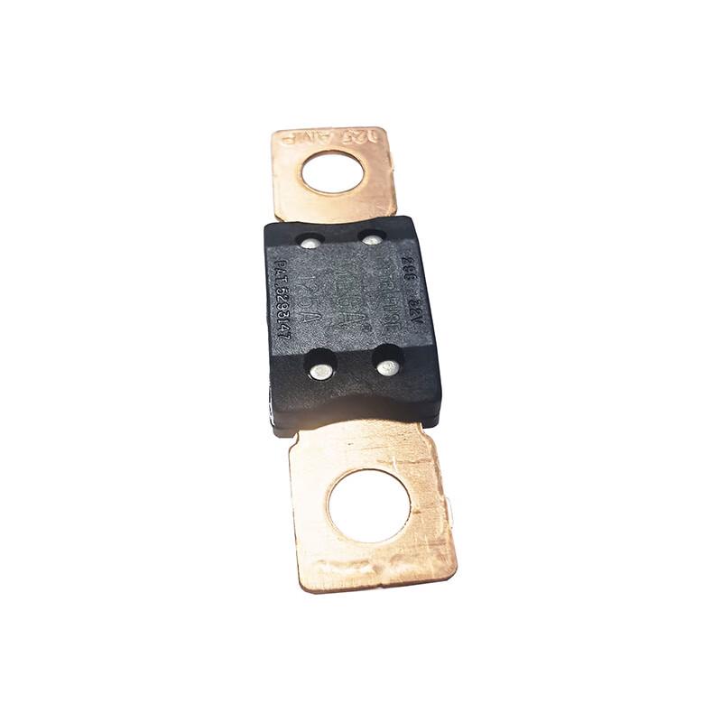 Huadema 80A Automotive Fuse