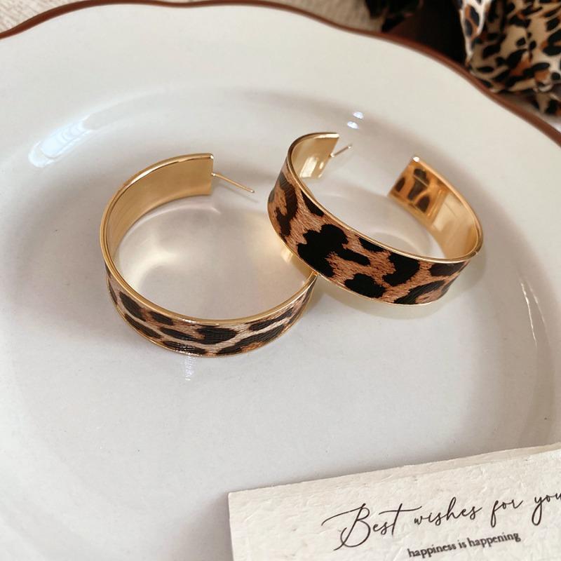 Silver needle autumn and winter retro leopard print geometric square round stud earrings Maillard simple earrings niche high-end earrings