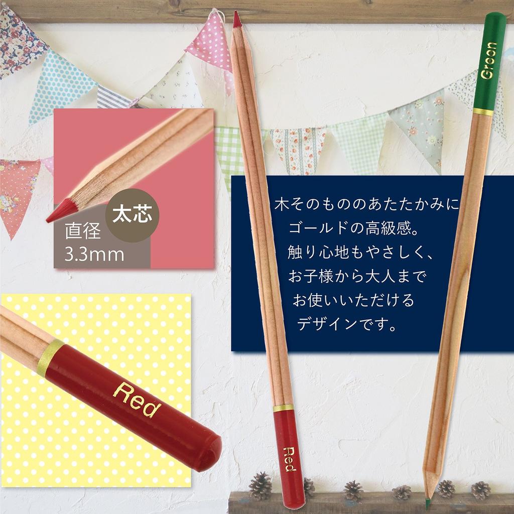 Shachihata Colored Thick 24 Colors Pencils, Core, ZCP-24C,