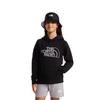 The North Face Childrens/Kids Drew Peak Hoodie