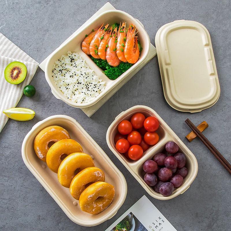 Eco-Friendly Rectangular Pulp Takeout Containers with Lids