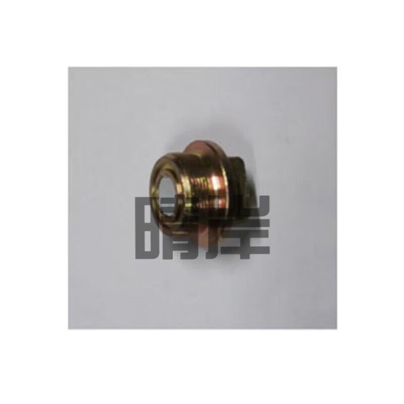 Oil Pan Drain Plug