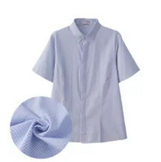 Women's Plus Size Blue Striped Formal Work Shirt - Hidden Button Design