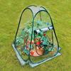 Mini Greenhouse Cover Portable Flowerpot Shelter Indoor Outdoor Sunshine Room Clear PVC Folding Plant House for Cold Frost Prevention